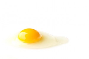 卵　卵子